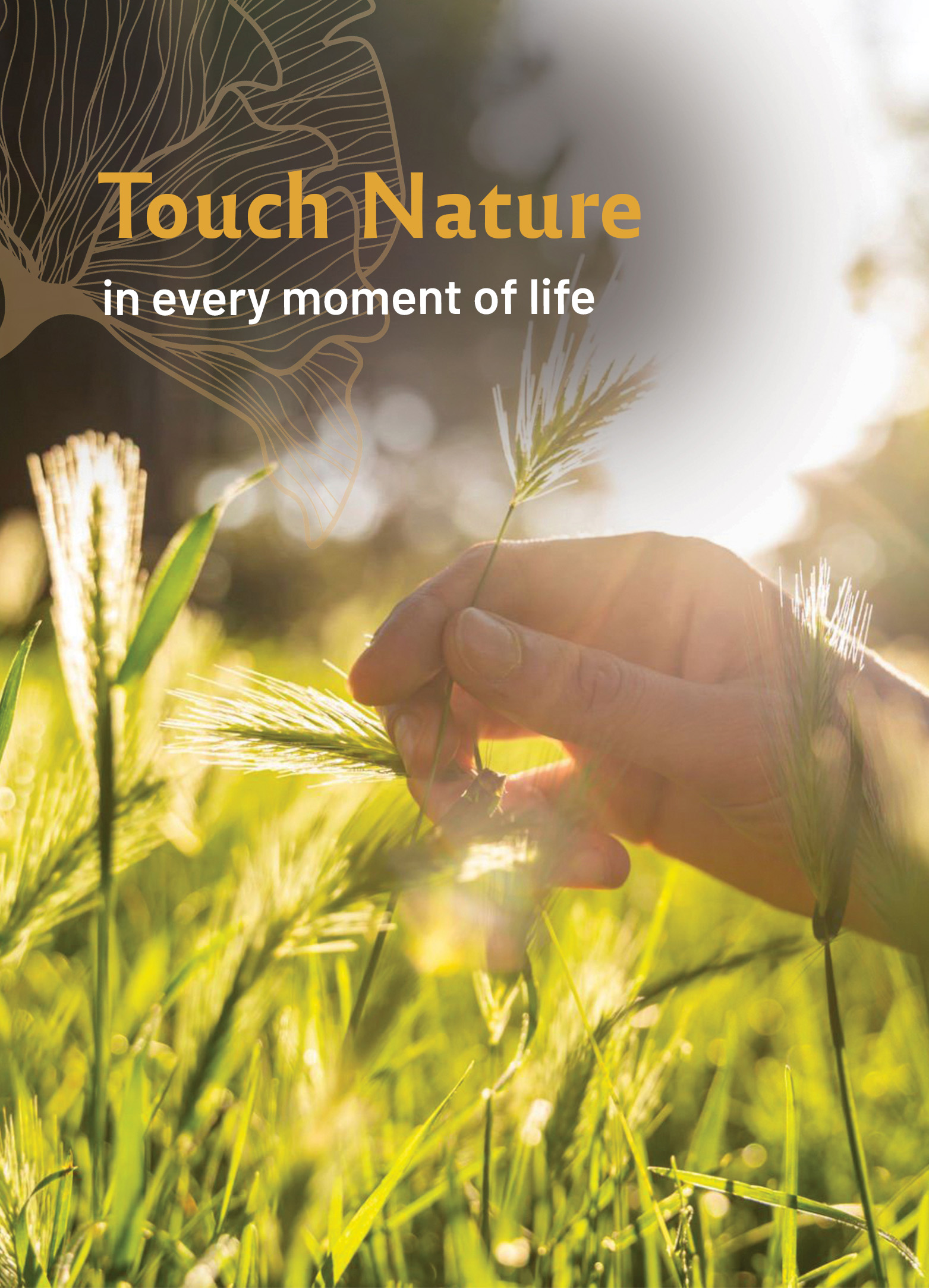 touch-img